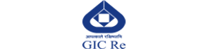 Owl Image
